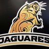 Jaguares