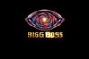 MrBigBoss