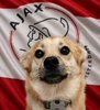 Snaus_AJAX