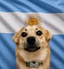 Snaus_ARG