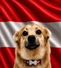 Snaus_AUT