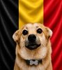 Snaus_BEL