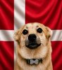 Snaus_DEN
