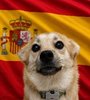 Snaus_ESP