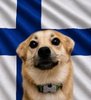 Snaus_FIN