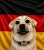 Snaus_GER