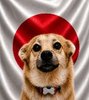 Snaus_JAP