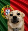 Snaus_POR