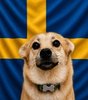 Snaus_SWE