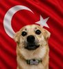 Snaus_TUR