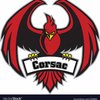 corsac