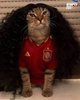 miau